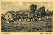 602510 Gezicht op de boerderij van het opvoedingsgesticht Valkenheide (Woudenbergseweg) te Maarsbergen (gemeente ...